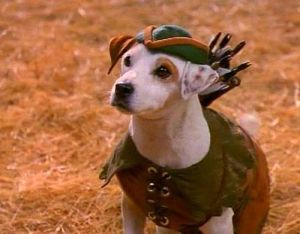 Wishbone era interpretado por el Jack Russell Terrier "Soccer"
